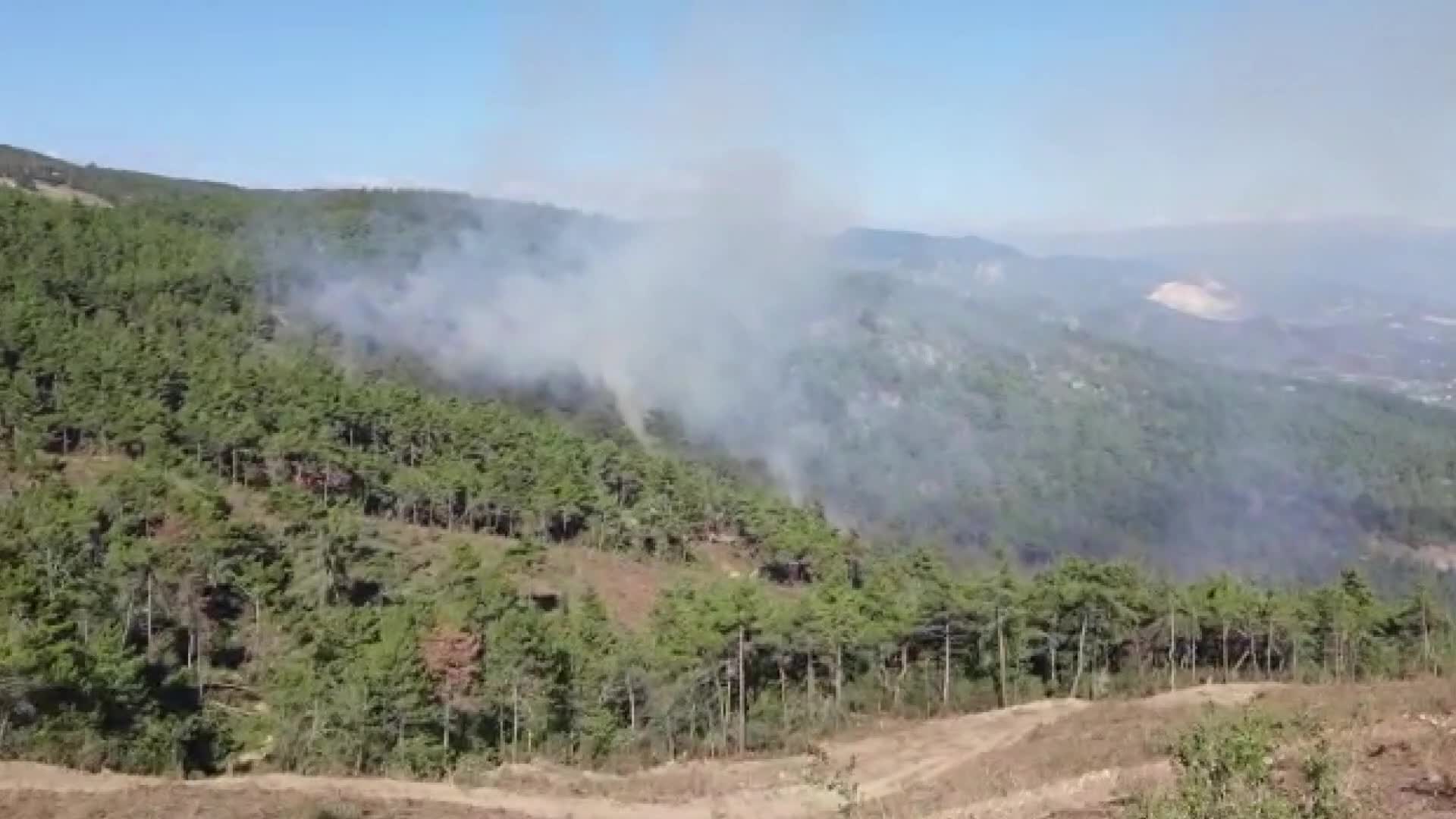 SAKARYA'DA ORMANLIK ALANDA ÇIKAN YANGIN, BÜYÜMEDEN SÖNDÜRÜLDÜ