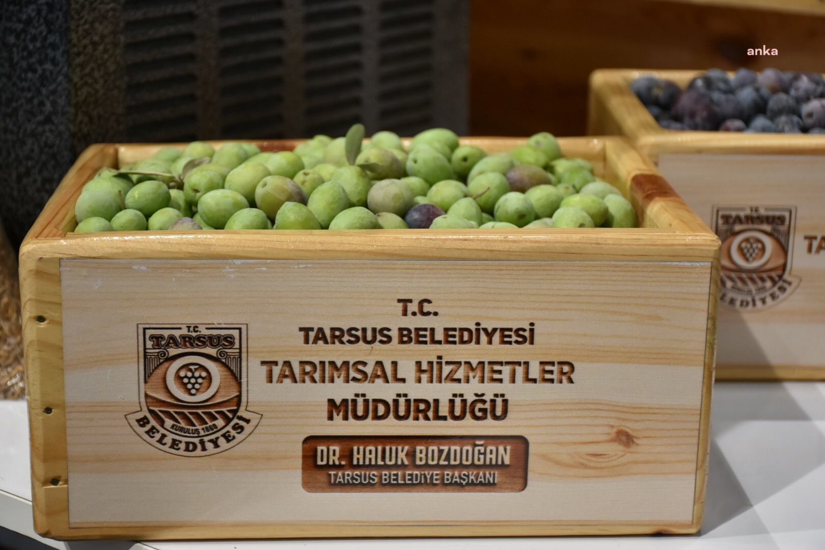 TARSUS BELEDİYESİ, TARIM ZİRVESİNE HAZIR