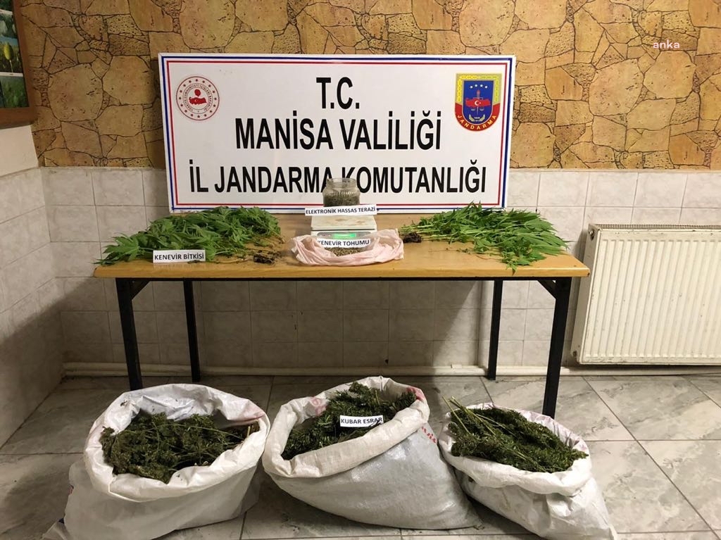 MANİSA'DA JANDARMA'DAN UYUŞTURUCU OPERASYONU