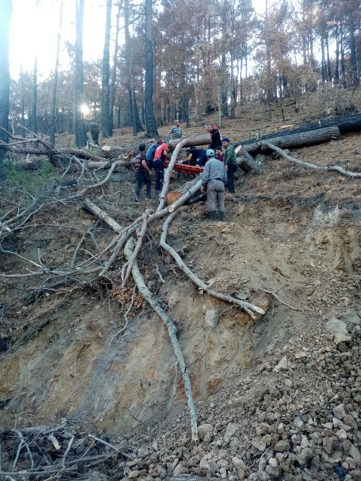 ORMAN İŞÇİSİ, KESTİĞİ AĞACIN ALTINDA KALDI