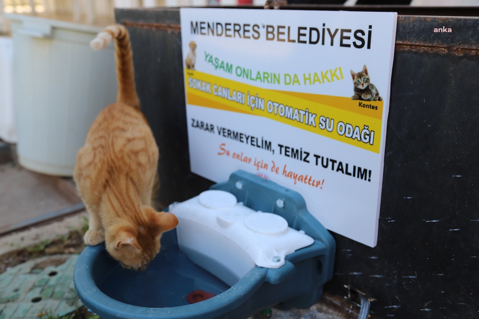 MENDERES PARKLARINA SOKAK HAYVANLARI İÇİN SU ODAKLARI YERLEŞTİRİLİYOR