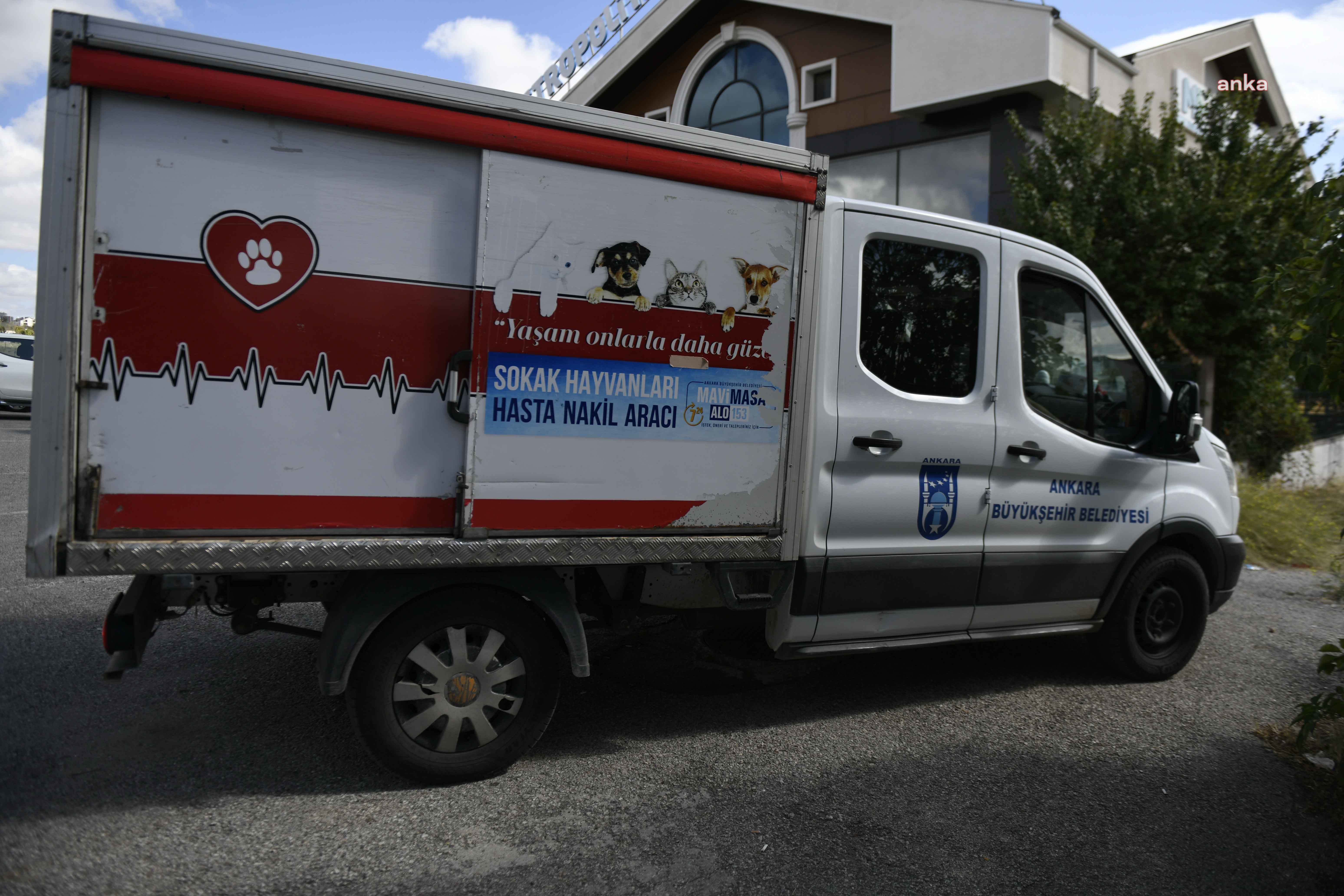 ANKARA BÜYÜKŞEHİR'DEN SOKAK HAYVANLARI İÇİN ÖZEL HASTANELERLE İŞ BİRLİĞİ