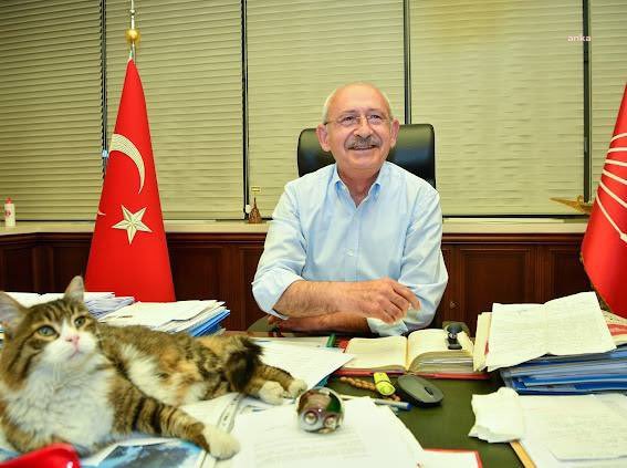 KILIÇDAROĞLU'NDAN 'KEDİLİ' MESAJ: "GELMEKTE OLAN GÜZEL GÜNLERE BAKIYORUZDUR"