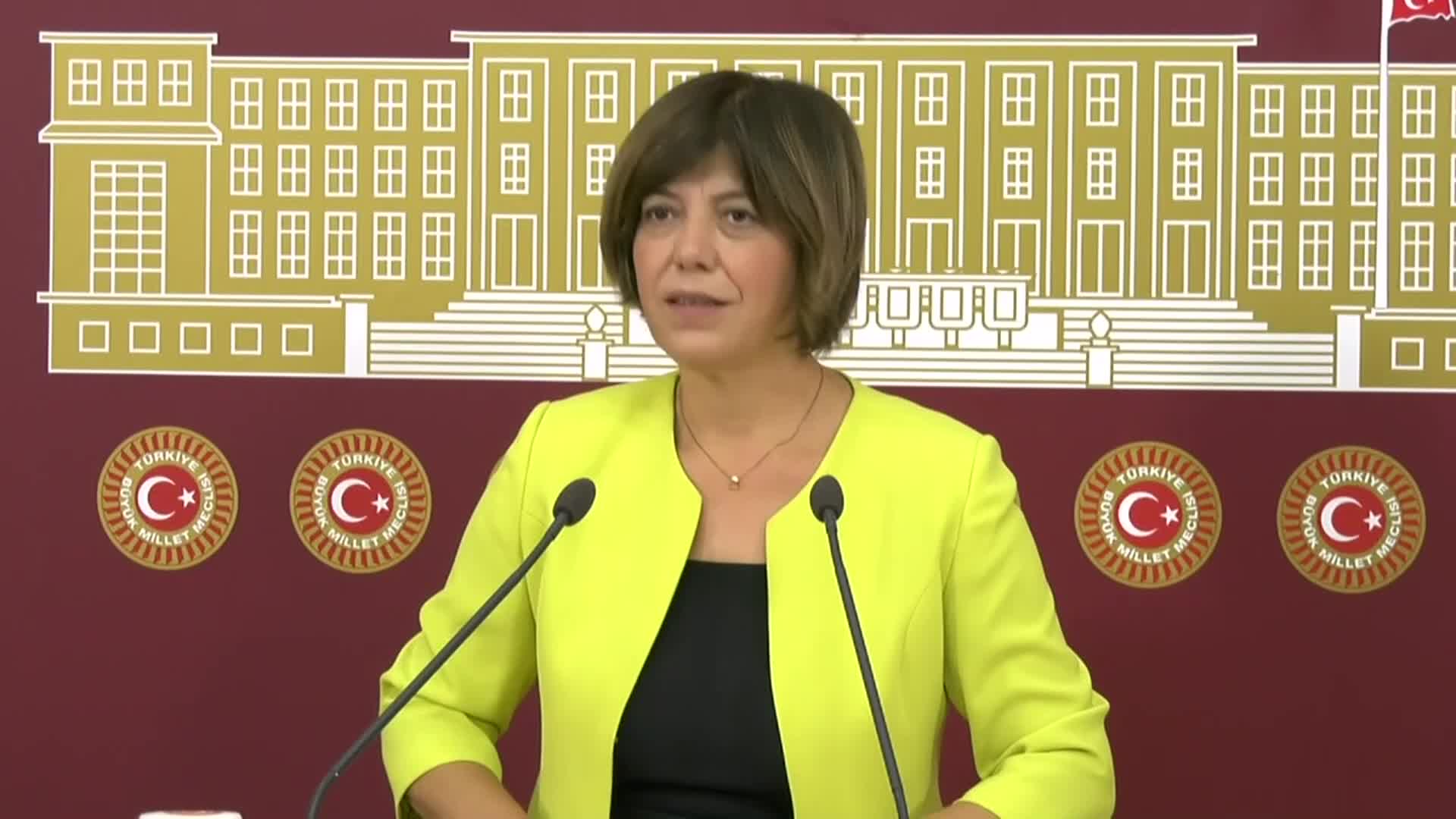 HDP’Lİ BEŞTAŞ’TAN ERDOĞAN’A: “BİR ÖNERİM VAR BİR MEDYA PRODÜKSİYON ŞİRKETİ KURABİLİR, SİYASETİ DE BIRAKABİLİR UZUN YILLAR OLDU”