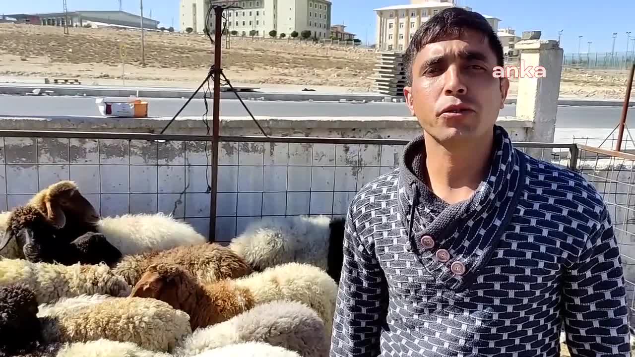 KARAMAN  HAYVAN PAZARINDA SATICI VAR, ALICI YOK. BESİCİLER HÜKÜMETE TEPKİLİ