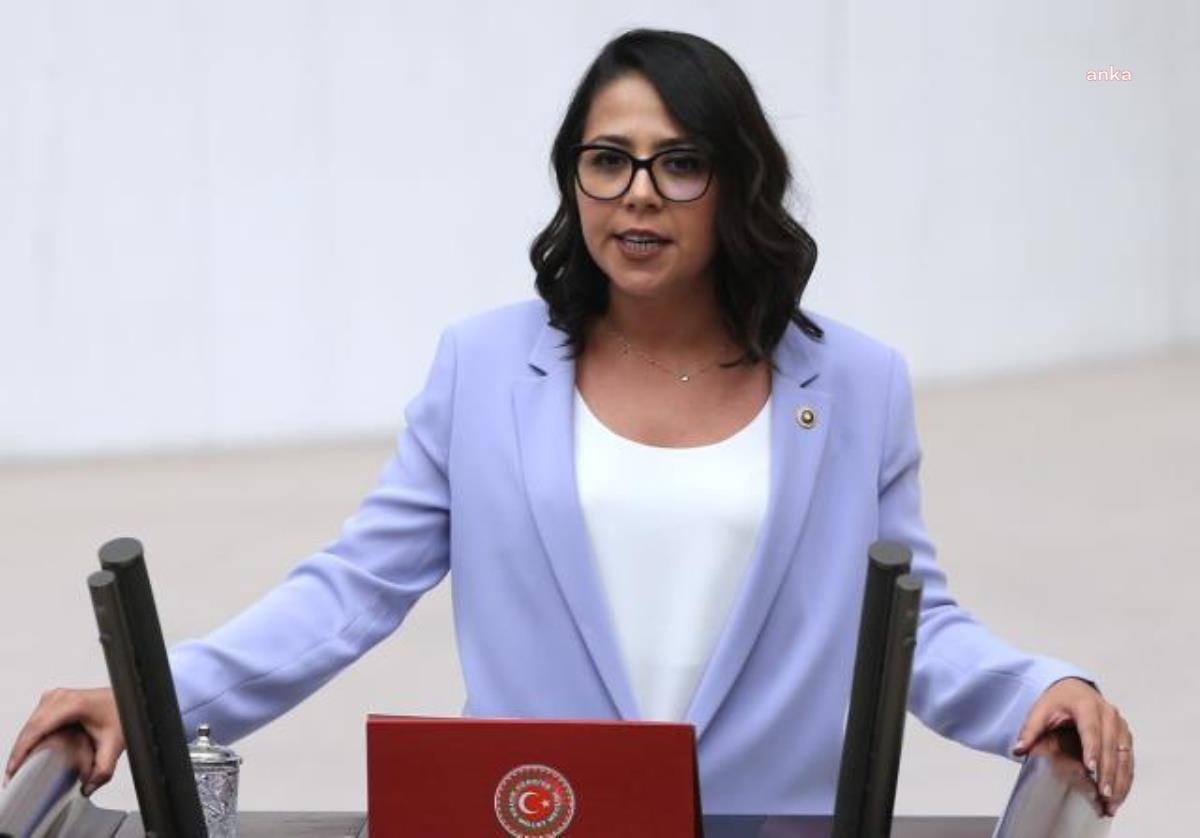 TİP’TEN “GELİR AZALDIKÇA DEVLET DESTEĞİNİ ARTIRACAK” KANUN TEKLİFİ
