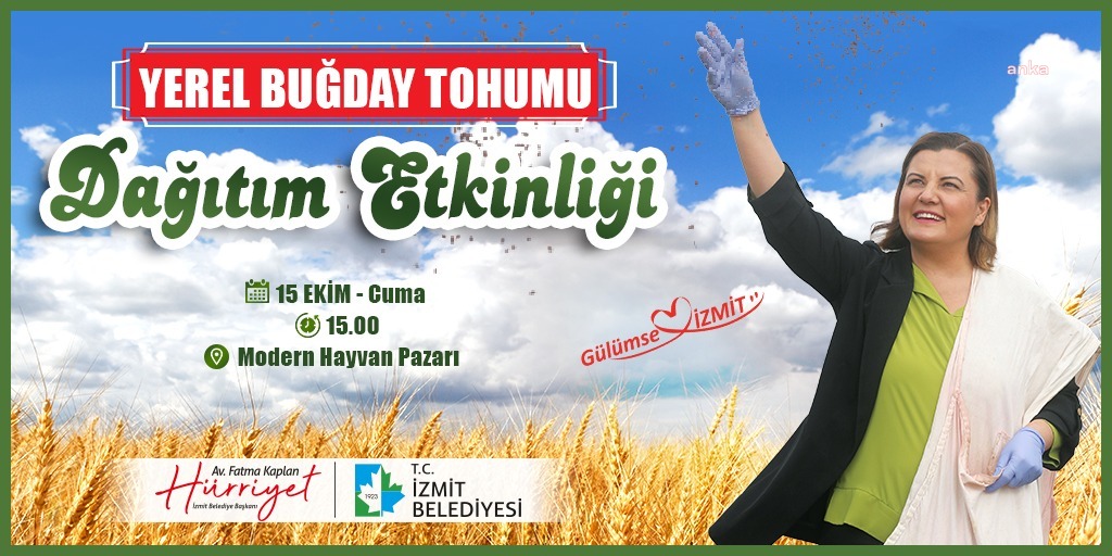 İZMİT BELEDİYESİ, ÇİFTÇİYE YEREL BUĞDAY TOHUMU DAĞITIMINA BAŞLIYOR