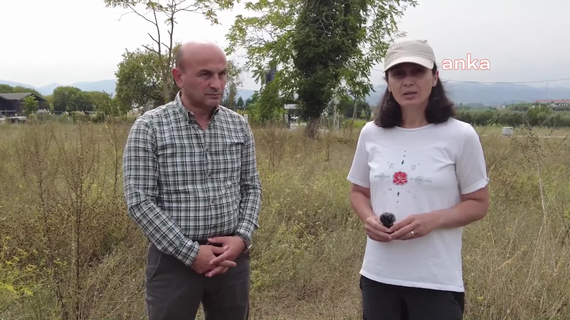 ALTINOVA’DAKİ ARKEOLOJİK KAZILARDA, HELENİSTİK DÖNEME AİT BULGULARA RASTLANDI