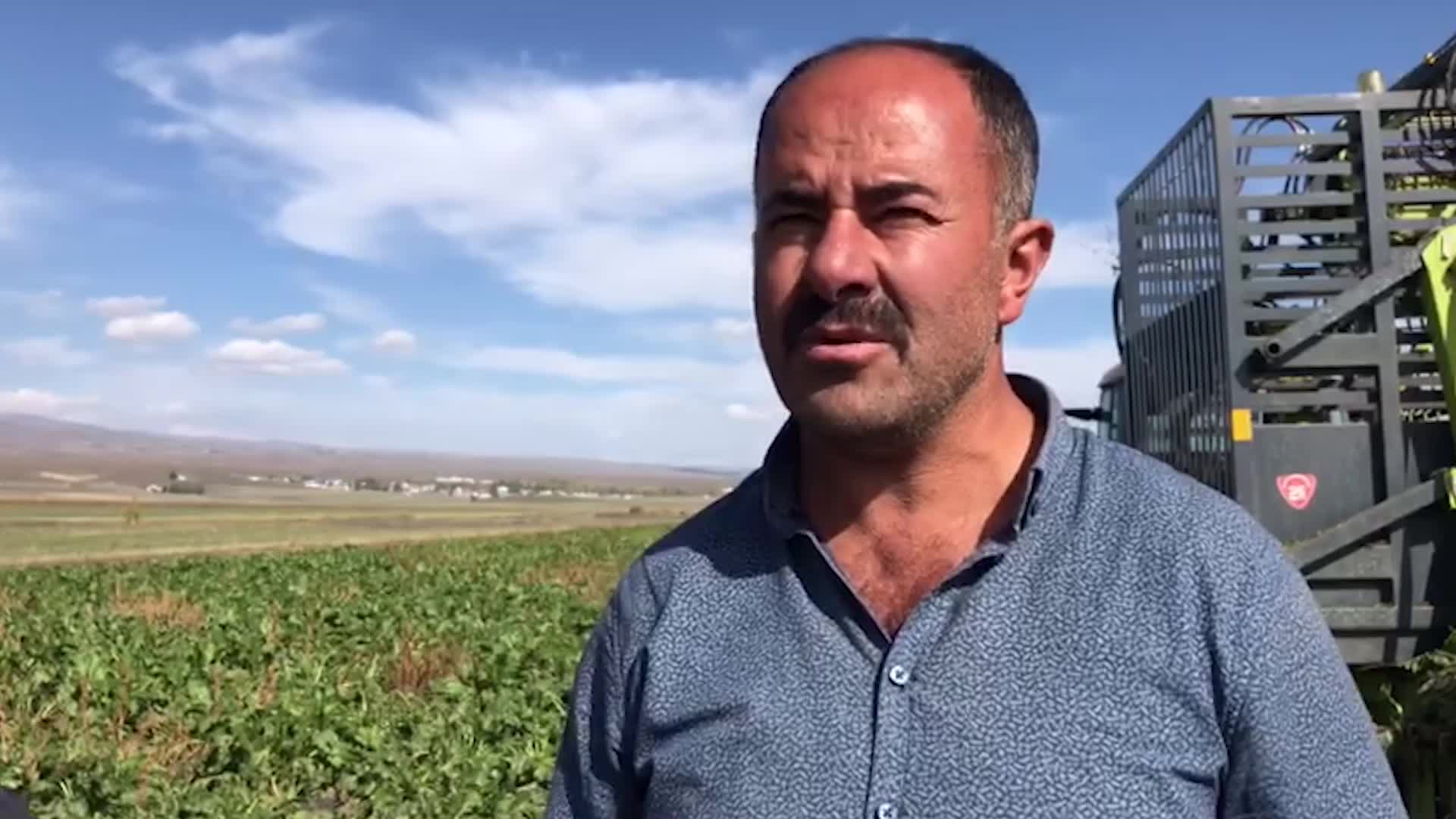 KARSLI PANCAR ÜRETİCİLERİ ALACAKLARI PARANIN MALİYETİ ÇIKARMAYACAĞINDAN ENDİŞELİ