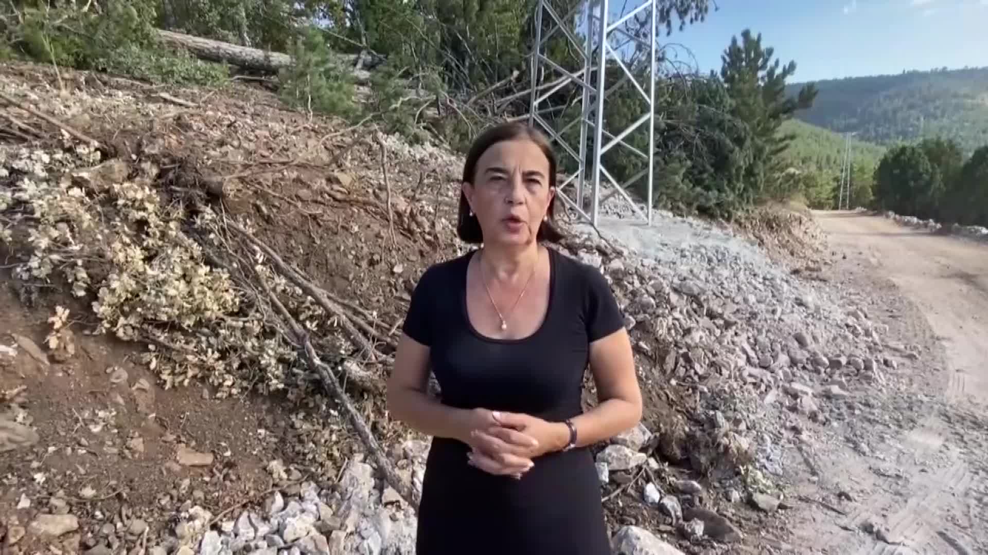 CHP'Lİ SÜLLÜ’DEN MERMER OCAĞI TEPKİSİ: "KIZIL GEYİKLERİN YAŞAM ALANI KEPÇELERLE TALAN EDİLİYOR"