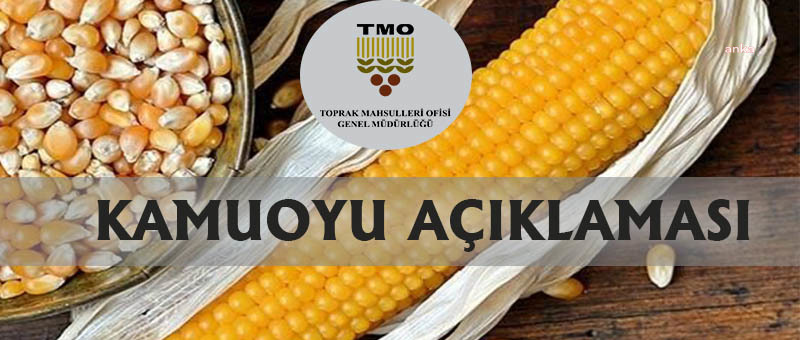 TMO: YEMLİK MISIR KASIMDA 2,500 TL'DEN SATIŞA ÇIKARILACAK