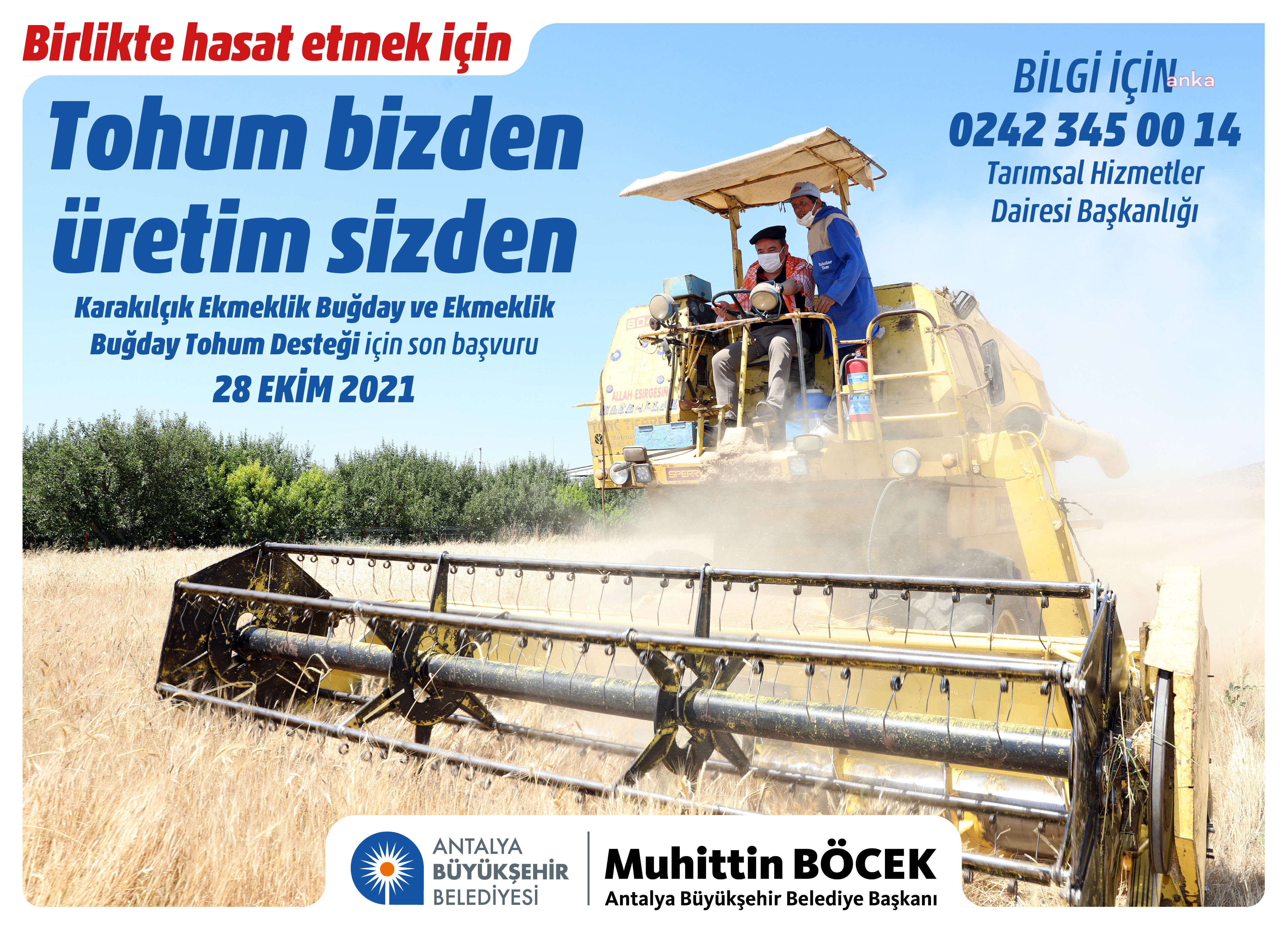 ANTALYA BÜYÜKŞEHİR BELEDİYESİ, ÇİFTÇİYE HİBE BUĞDAY TOHUMU DESTEĞİ VERECEK