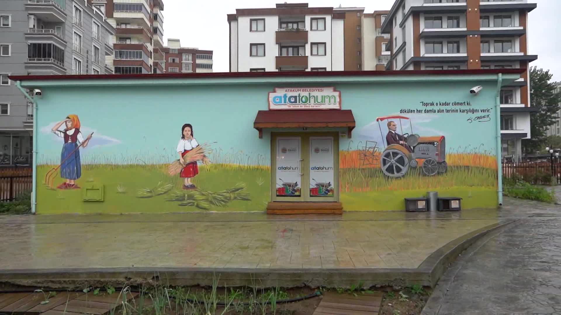 ATAKUM BELEDİYESİ’NDEN ÜRETİCİYE ATA TOHUM DESTEĞİ