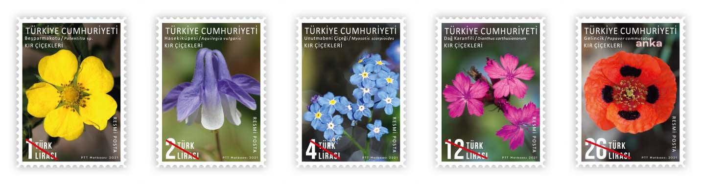 PTT, “KIR ÇİÇEKLERİ” TEMALI RESMİ POSTA PULLARINI SATIŞA ÇIKARTTI