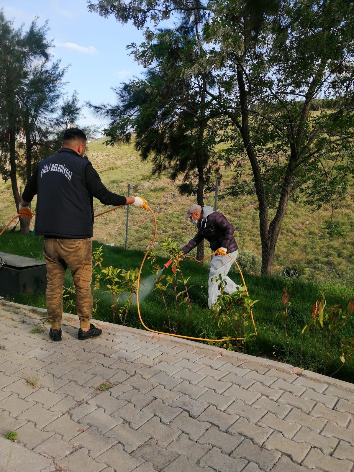 ÇİĞLİ PARKLARINDA ÇİM VE BİTKİLERE ÖZEL BAKIM