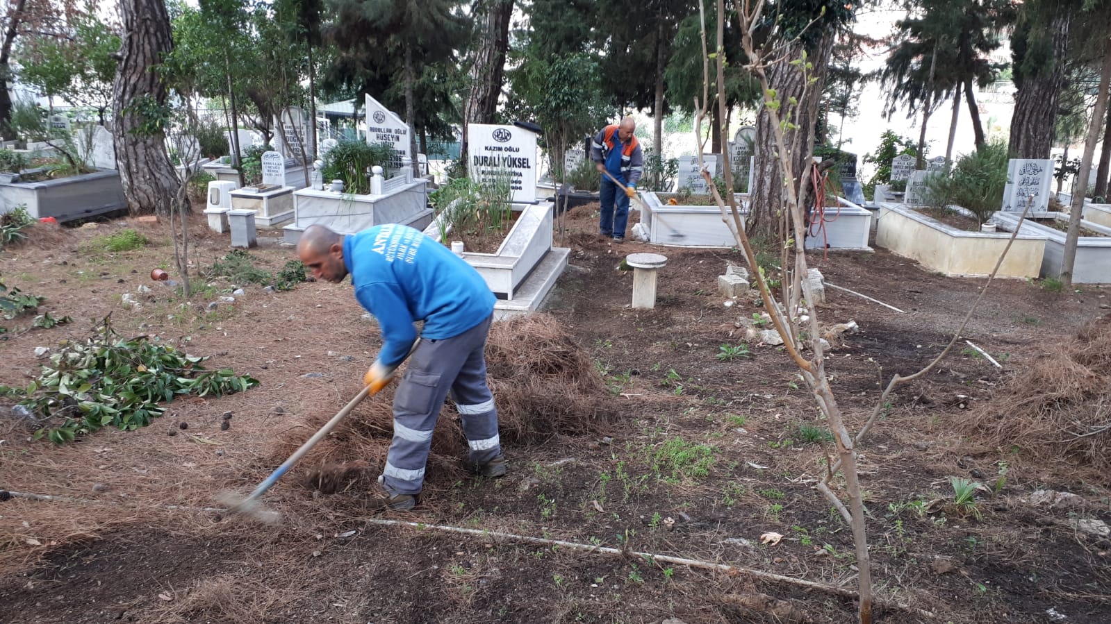 ANTALYA BÜYÜKŞEHİR, MEZARLIKLARI TEMİZLİYOR