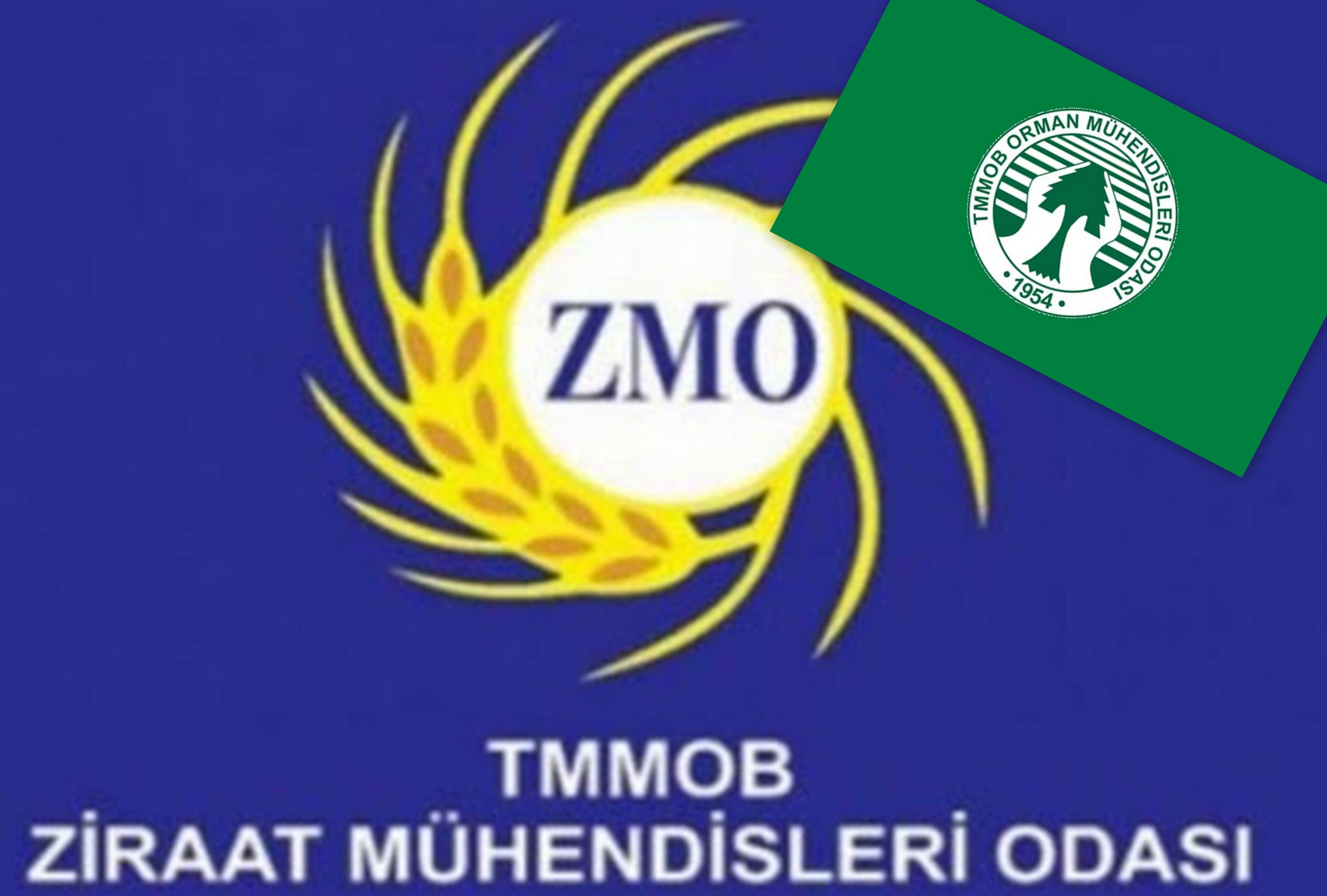 ORMAN MÜHENDİSLERİ VE ZİRAAT MÜHENDİSLERİ ARASINDA TARTIŞMA ÇIKTI
