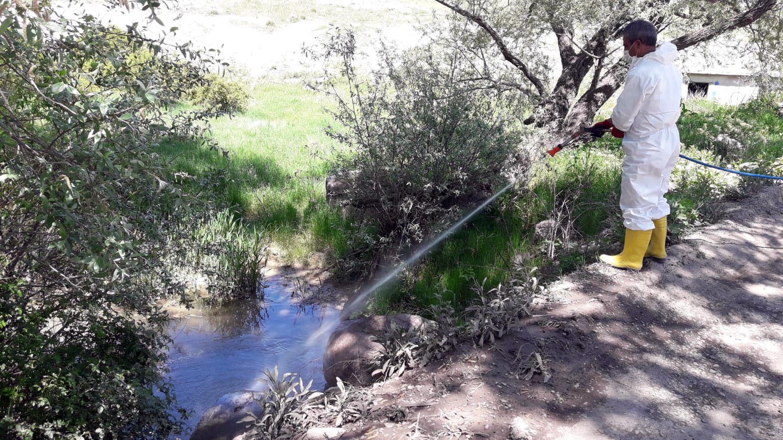 YENİMAHALLE'DE SULAK ALANLARDA LARVA MÜCADELESİ