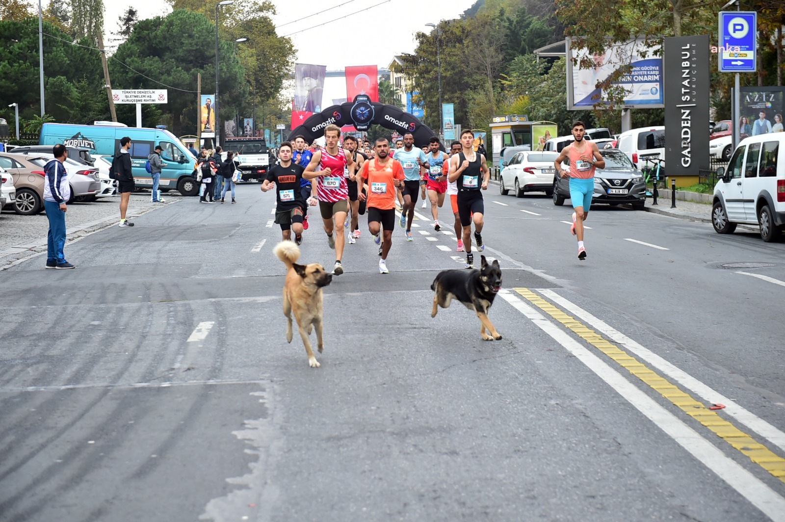 BEŞİKTAŞ BELEDİYESİ BEBEK 10K KOŞUSU VE SPOR FESTİVALİ DÜZENLEDİ
