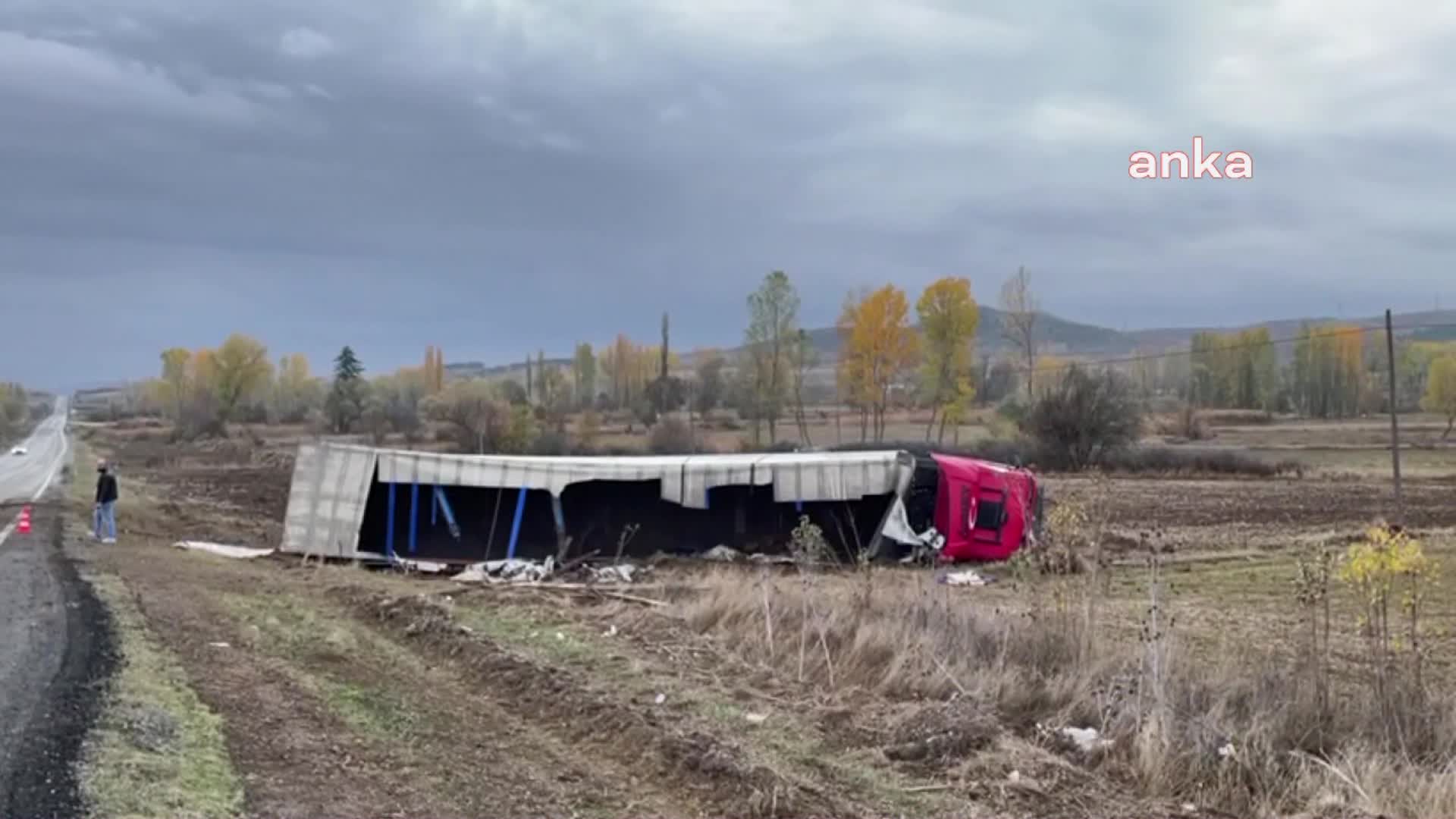 TIR DEVRİLDİ 8 BÜYÜKBAŞ HAYVAN ÖLDÜ