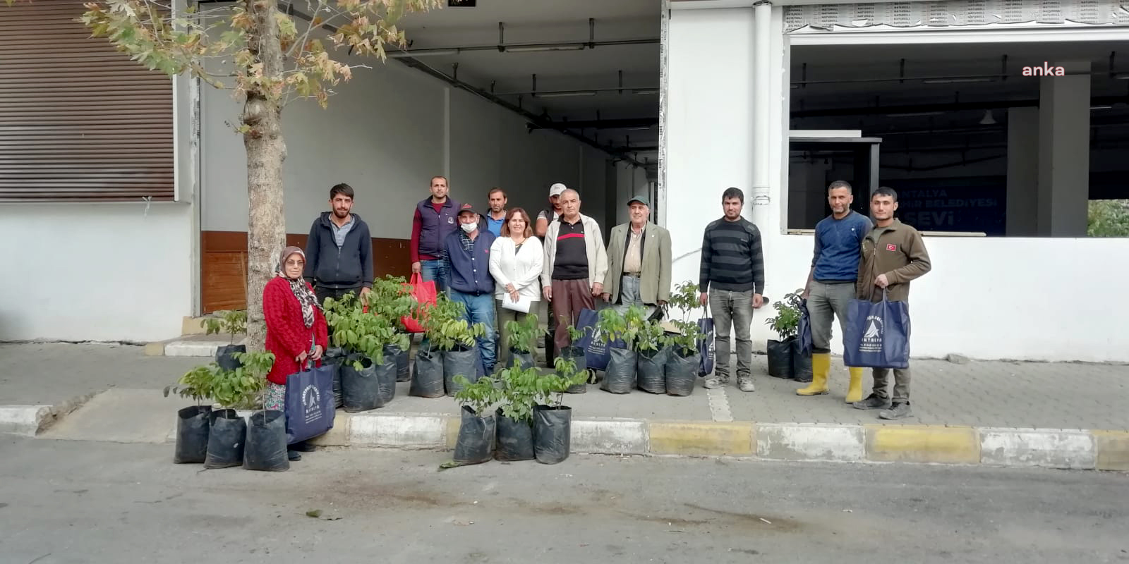 MURATPAŞA BELEDİYESİ CEVİZ FİDANLARINI YANGIN BÖLGELERİNE ULAŞTIRDI
