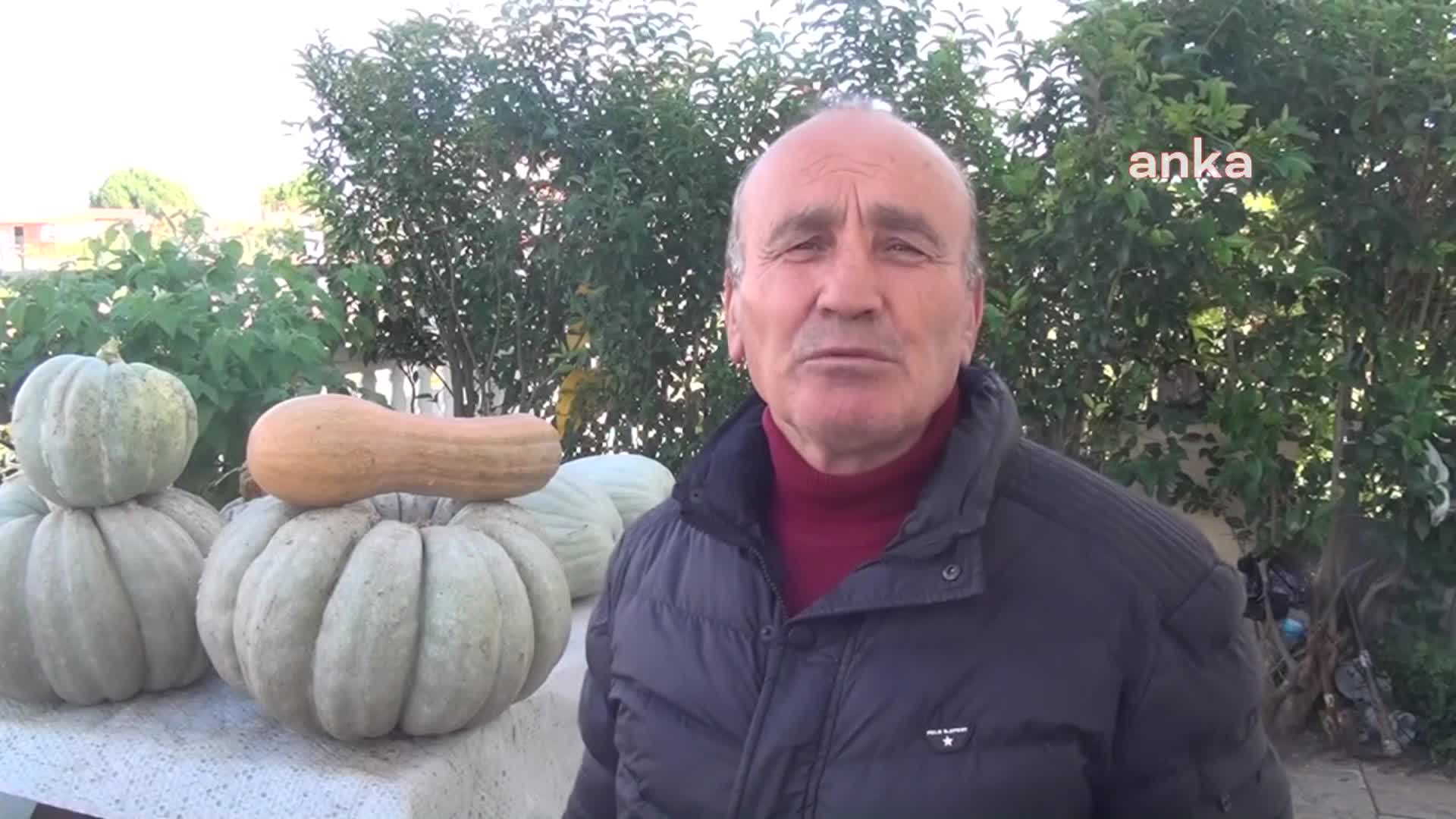 YAKLAŞIK 60 KİLOGRAM BAL KABAĞI YETİŞTİRDİ