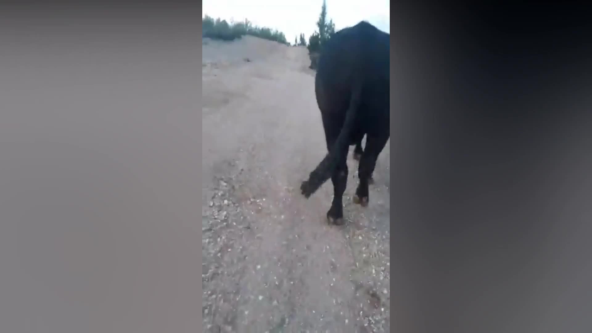 TARSUS'TA 10 KASIM ATATÜRK'Ü ANMA TÖRENİ