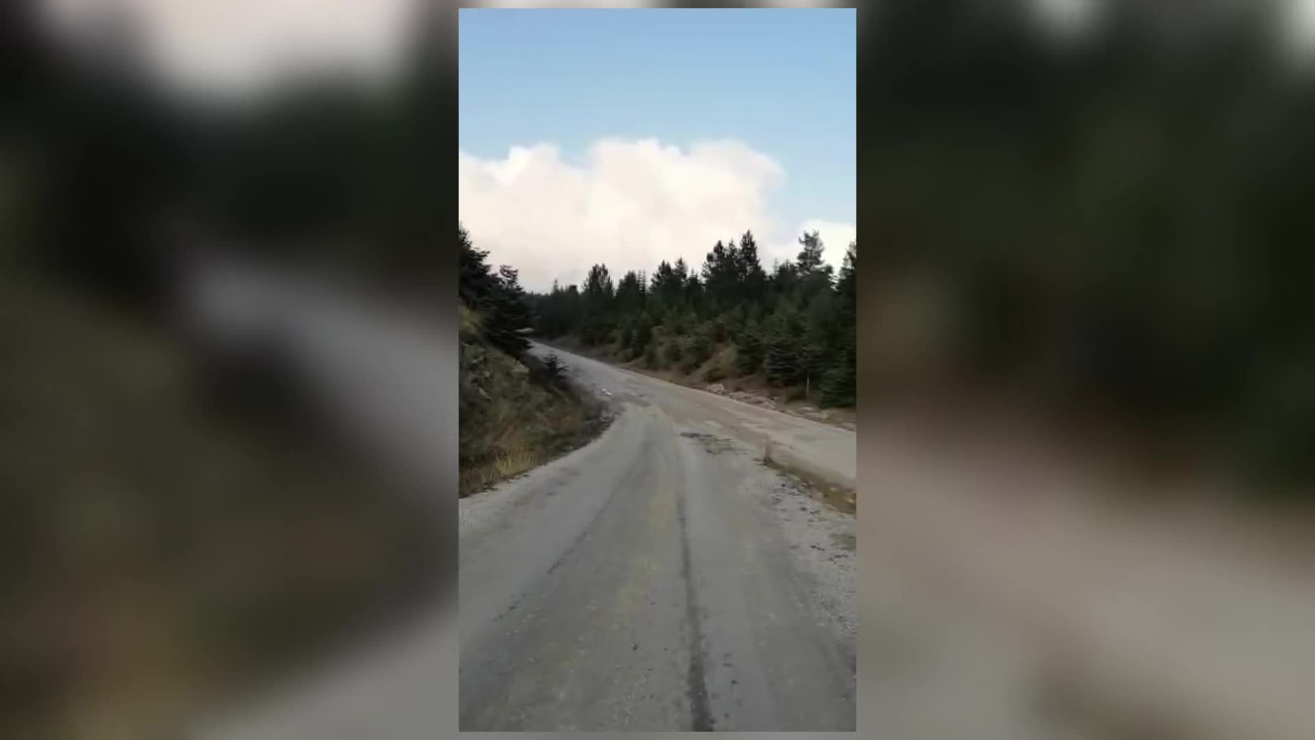SİNOP SAZLI KÖYÜ’NDE TELEFON DİREKLERİ DEVRİLDİ, KABLOLAR YERDE, HATLAR ÇALIŞMIYOR VATANDAŞ MAĞDUR