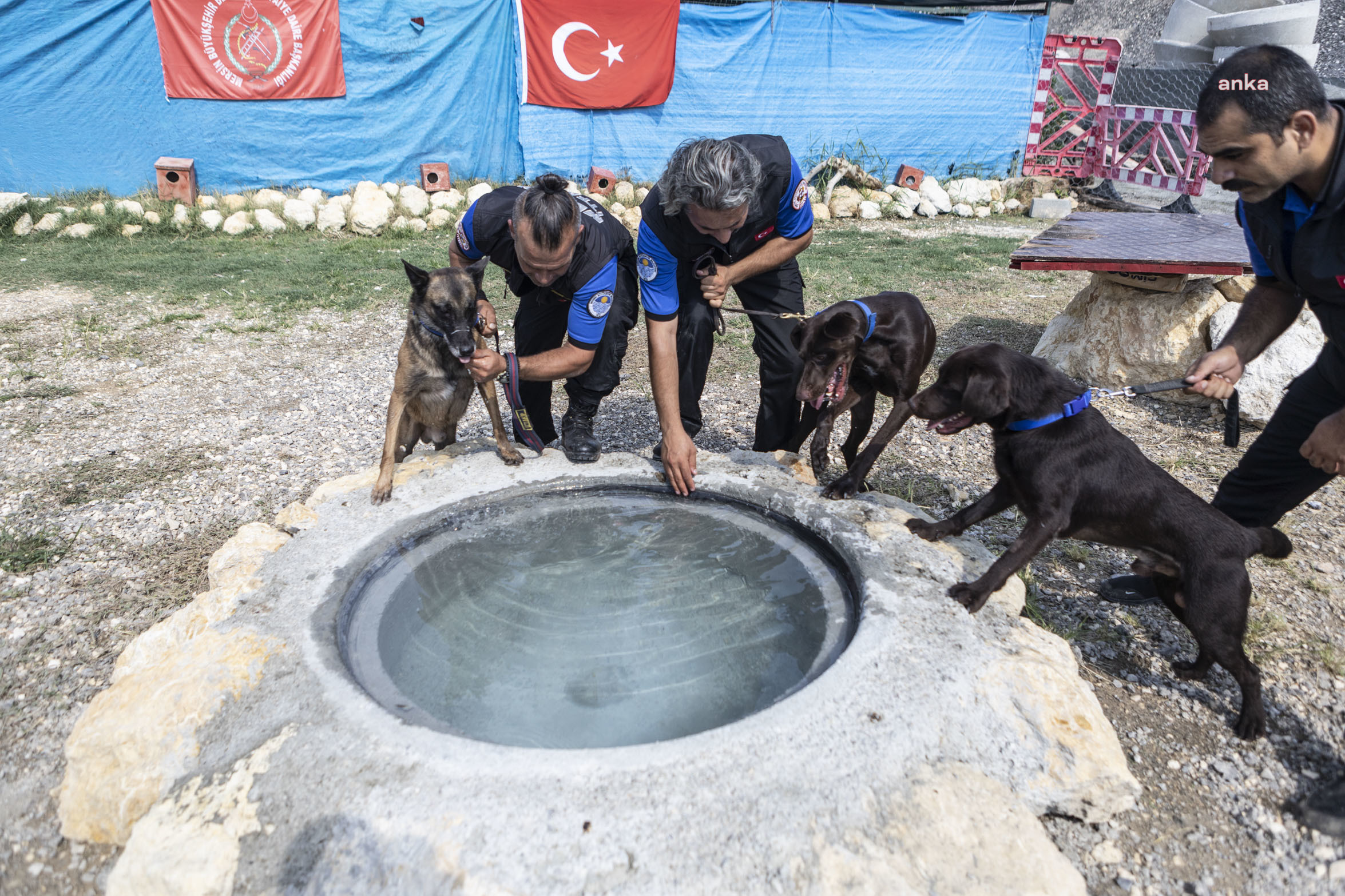 MERSİN BÜYÜKŞEHİR'İN SERTİFİKALI K9 KÖPEKLERİ CAN KURTARIYOR