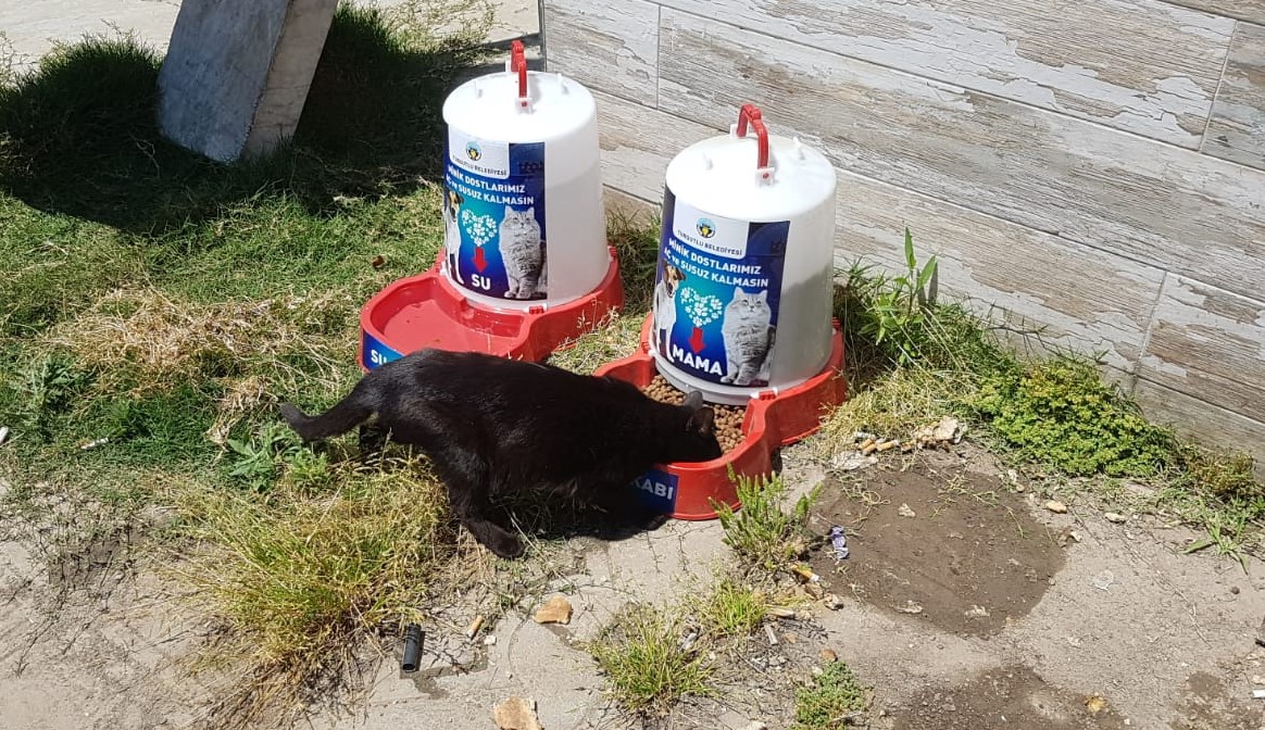 TURGUTLU BELEDİYESİ CAN DOSTLARI UNUTMADI