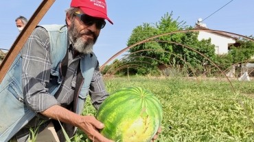 EN ERKENCİ KARPUZ, FETHİYE'DE ÜRETİLDİ