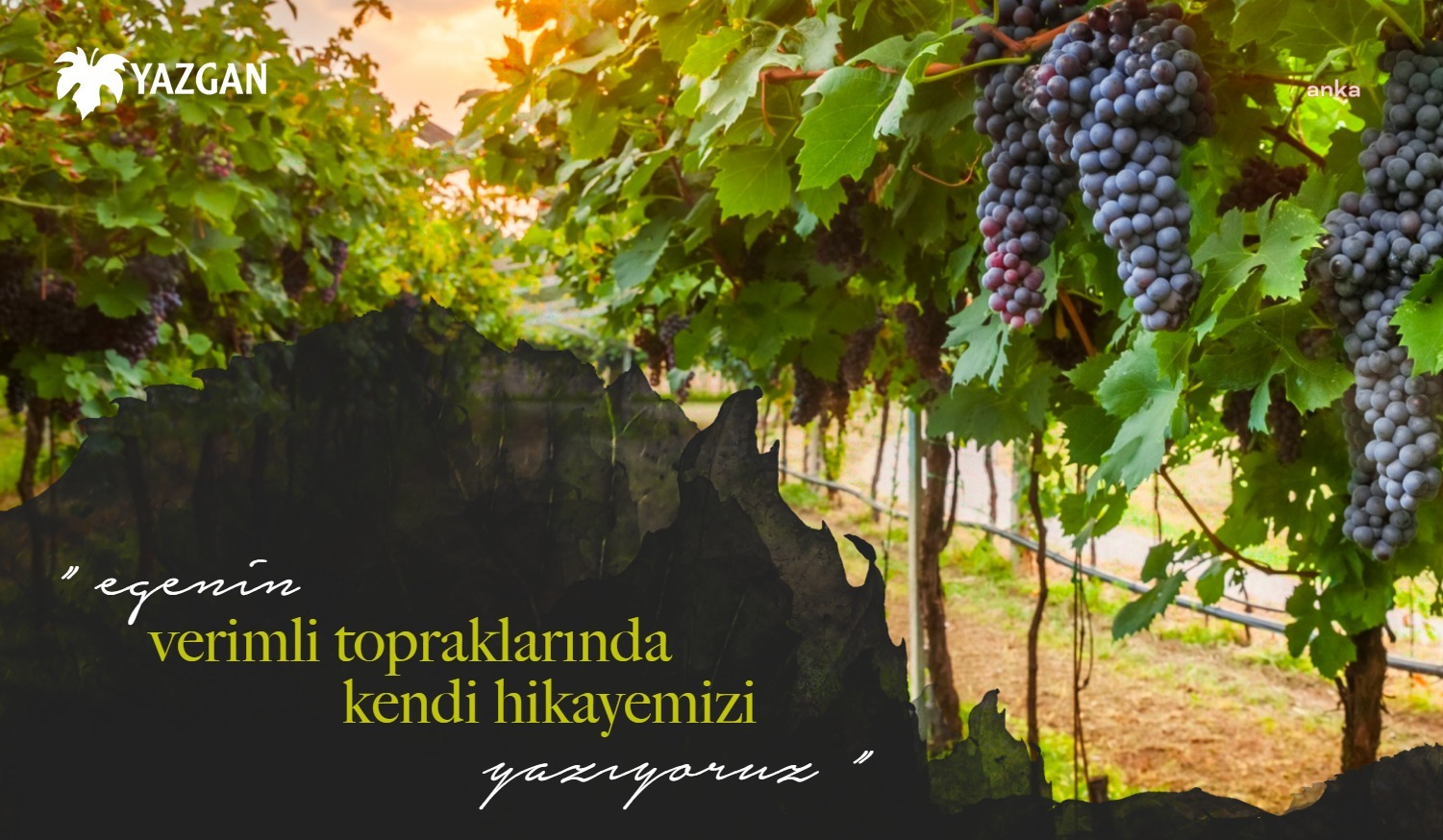 İZMİR'İN 78 YILLIK ŞARAP MARKASINDAN KONKORDATO TALEBİ