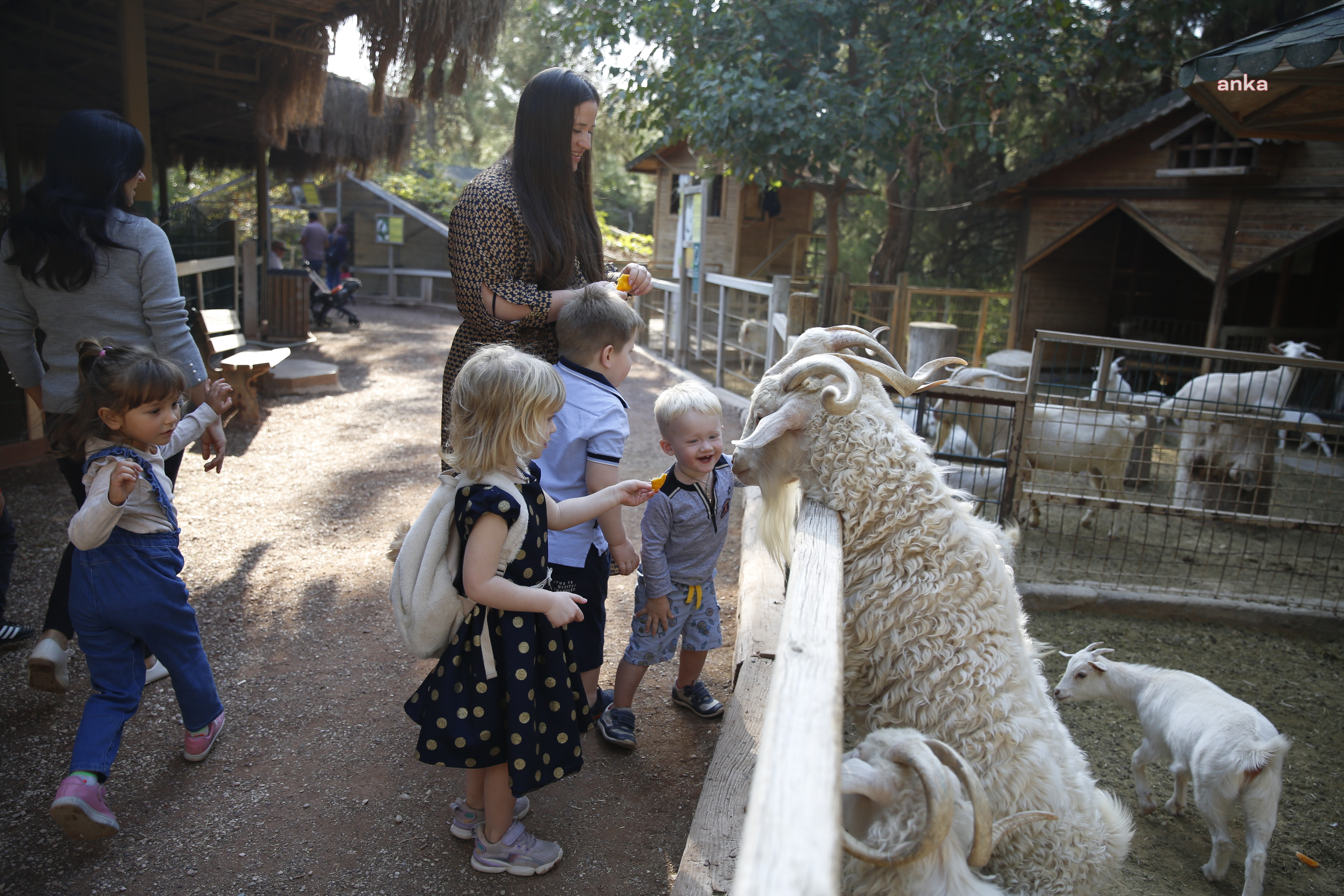 ANTALYA'DA HAYVANAT BAHÇESİNE ZİYARETÇİ AKINI