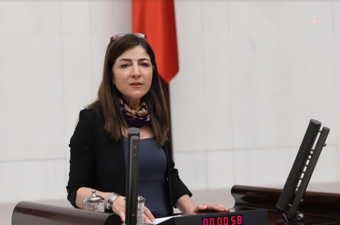 HDP’Lİ GÜLÜM, ”KADINA YÖNELİK ERKEK ŞİDDETİNİN ARAŞTIRILMASINI” İSTEDİ