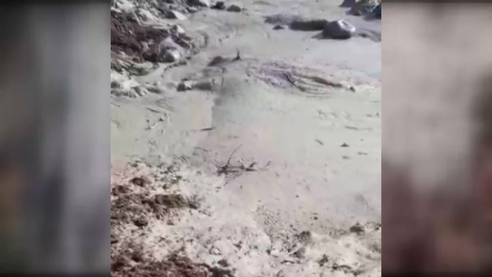 ŞEBİNKARAHİSAR’DA ÇEVRE FELAKETİ: SİYANÜR ATIKLARININ TOPLANDIĞI HAVUZ PATLADI, ATIKLAR KILIÇKAYA BARAJI’NA ULAŞTI