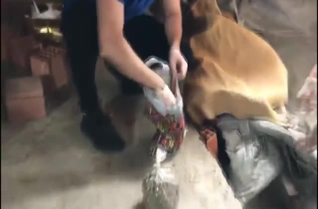 İSTANBUL'DA UYUŞTURUCU OPERASYONU
