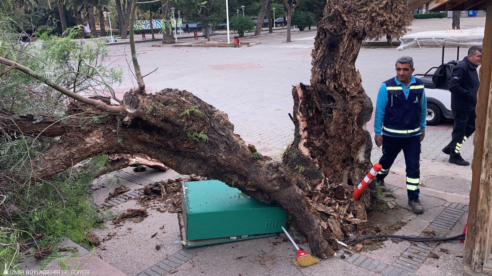 İZMİR'DE 33 AĞAÇ ZARAR GÖRDÜ, 3 İLÇEDE ÇATI UÇTU