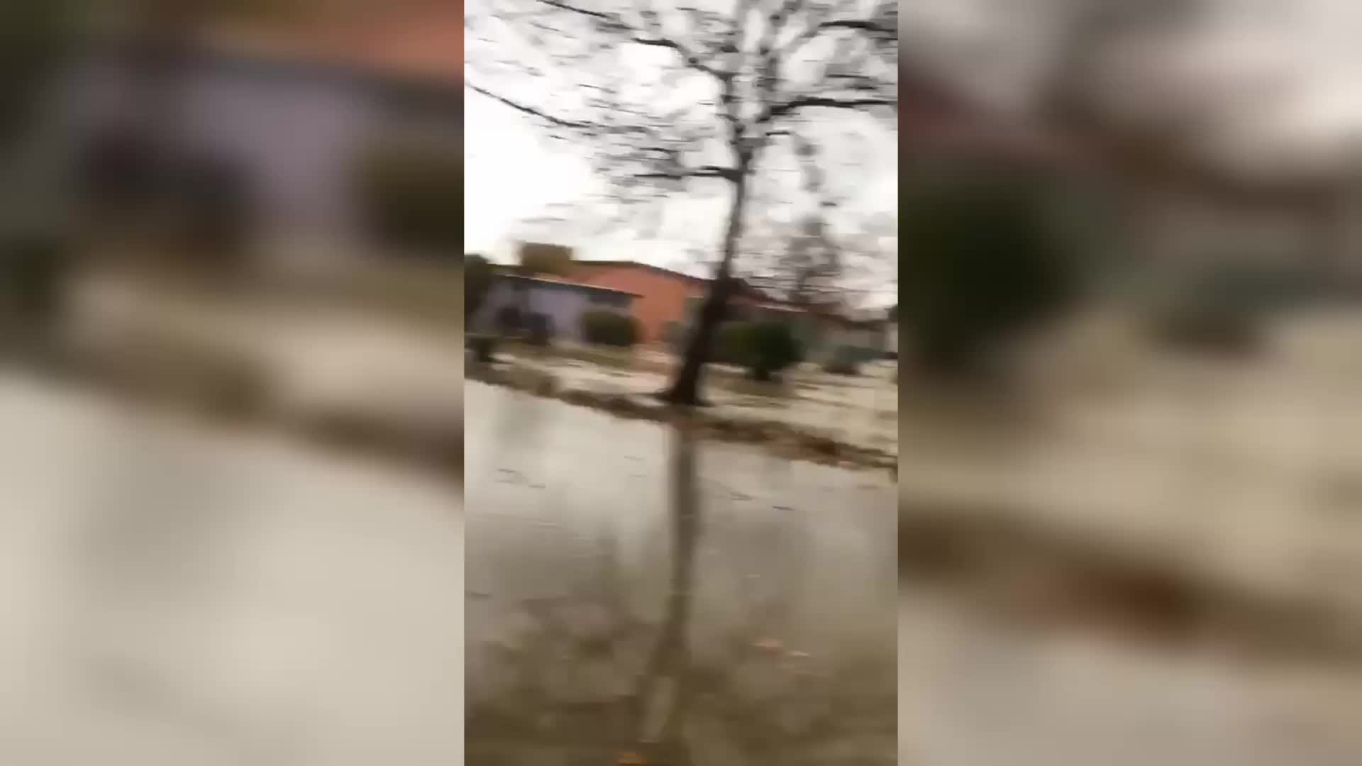 YALOVA'DA LODOS NEDENİYLE DENİZ TAŞTI