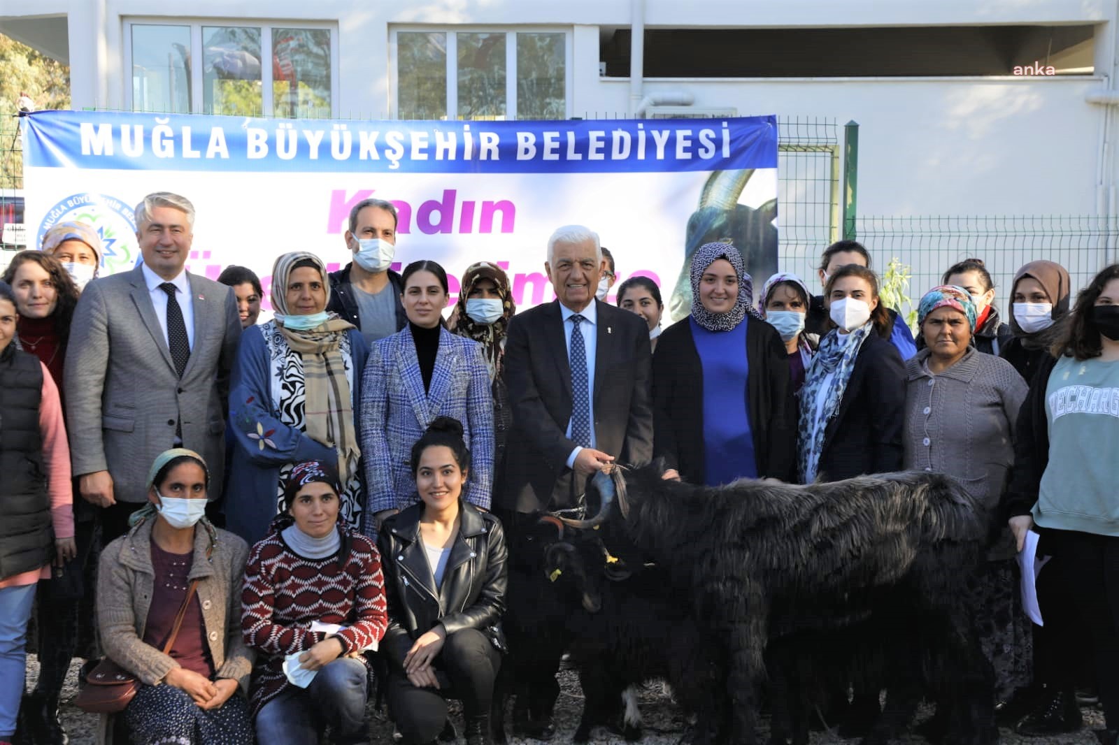 MUĞLA BÜYÜKŞEHİR'DEN KÖYCEĞİZ'DE KIL KEÇİSİ DESTEĞİ
