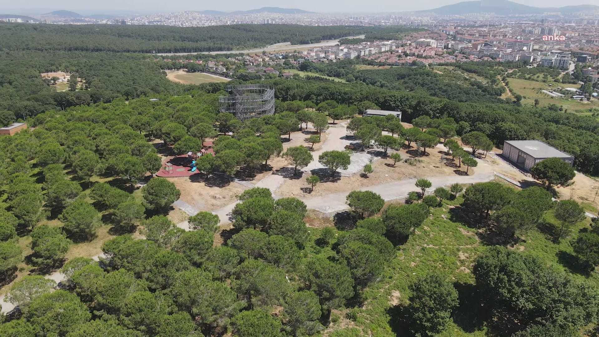 TÜRKİYE ORMANCILAR DERNEĞİ: DÜZENLEMELER ANAYASA VE PARİS İKLİM ANLAŞMASI'NA AYKIRI