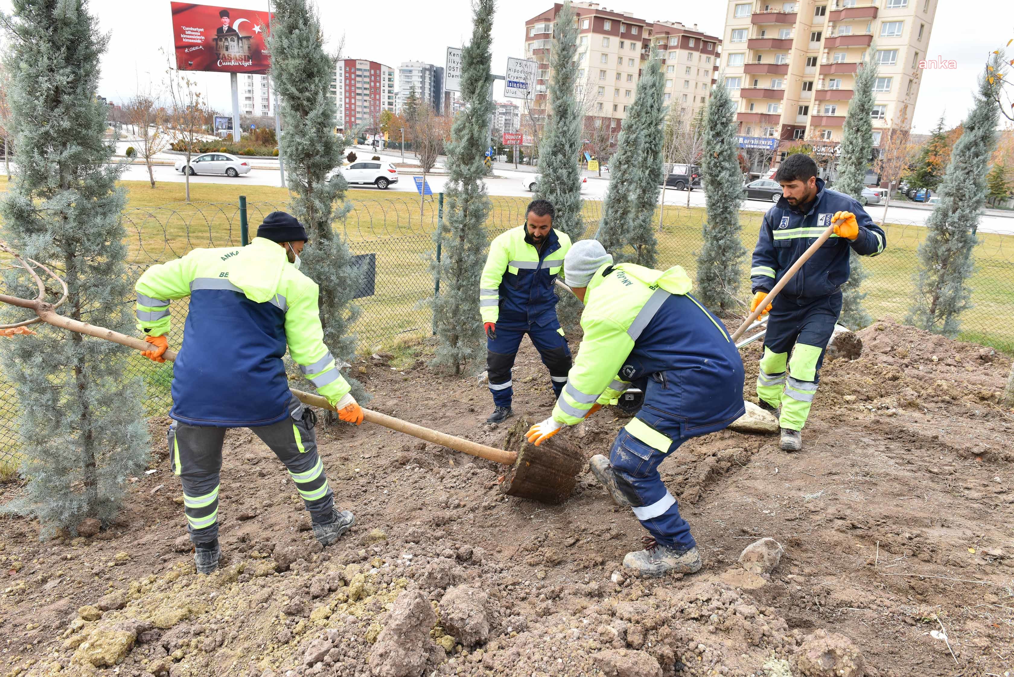 ABB’DEN AĞAÇ SEFERBERLİĞİ: HEDEF 70 BİN AĞAÇ