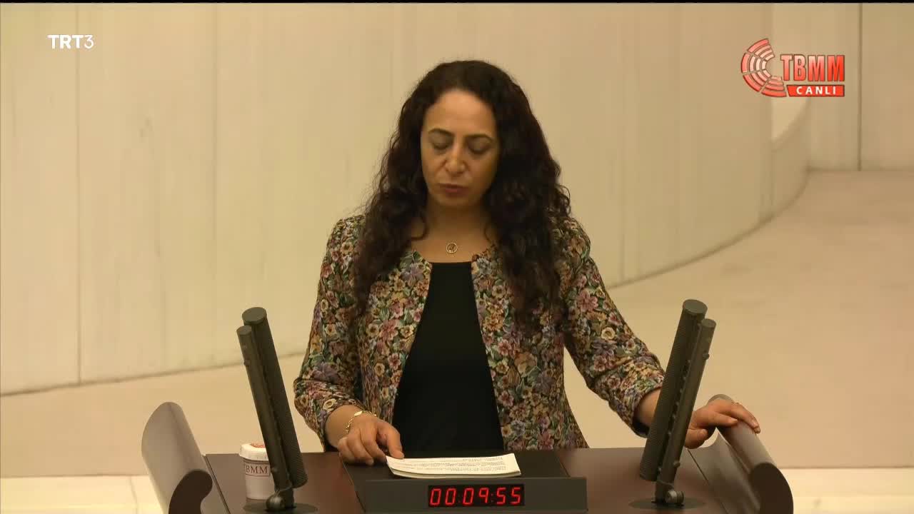 IŞIK: "ENERJİ POLİTİKANIZDA DA RANTIN, SERMAYENİN VE SÖMÜRÜNÜN ÖNCELİKLERİ YER ALIYOR"