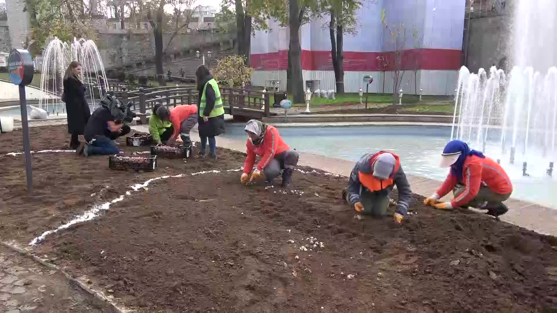 İSTANBUL AĞAÇ VE PEYZAJ AŞ, PARK VE BAHÇELERİNE 7 MİLYON 500 BİN BİTKİ SOĞANI EKECEK