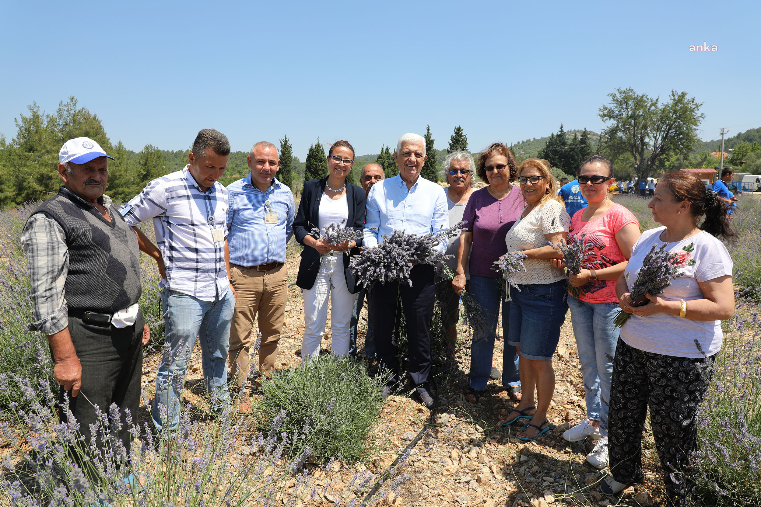 MUĞLA'DA KADIN ÜRETİCİLERE 97 BİN 500 ADET TIBBİ AROMATİK FİDAN DAĞITILDI