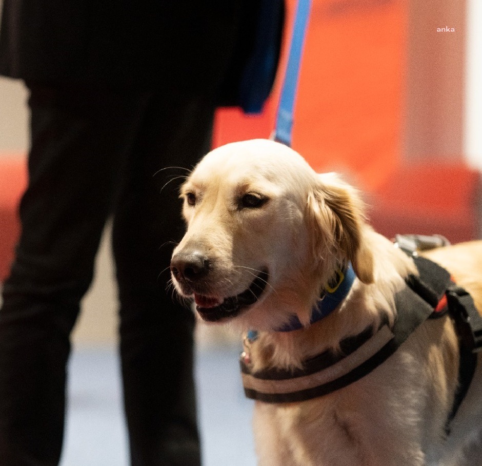İZMİR'DE ENGELSİZ YAŞAM İÇİN TOPLU ULAŞIMA REHBER KÖPEKLER GELİYOR