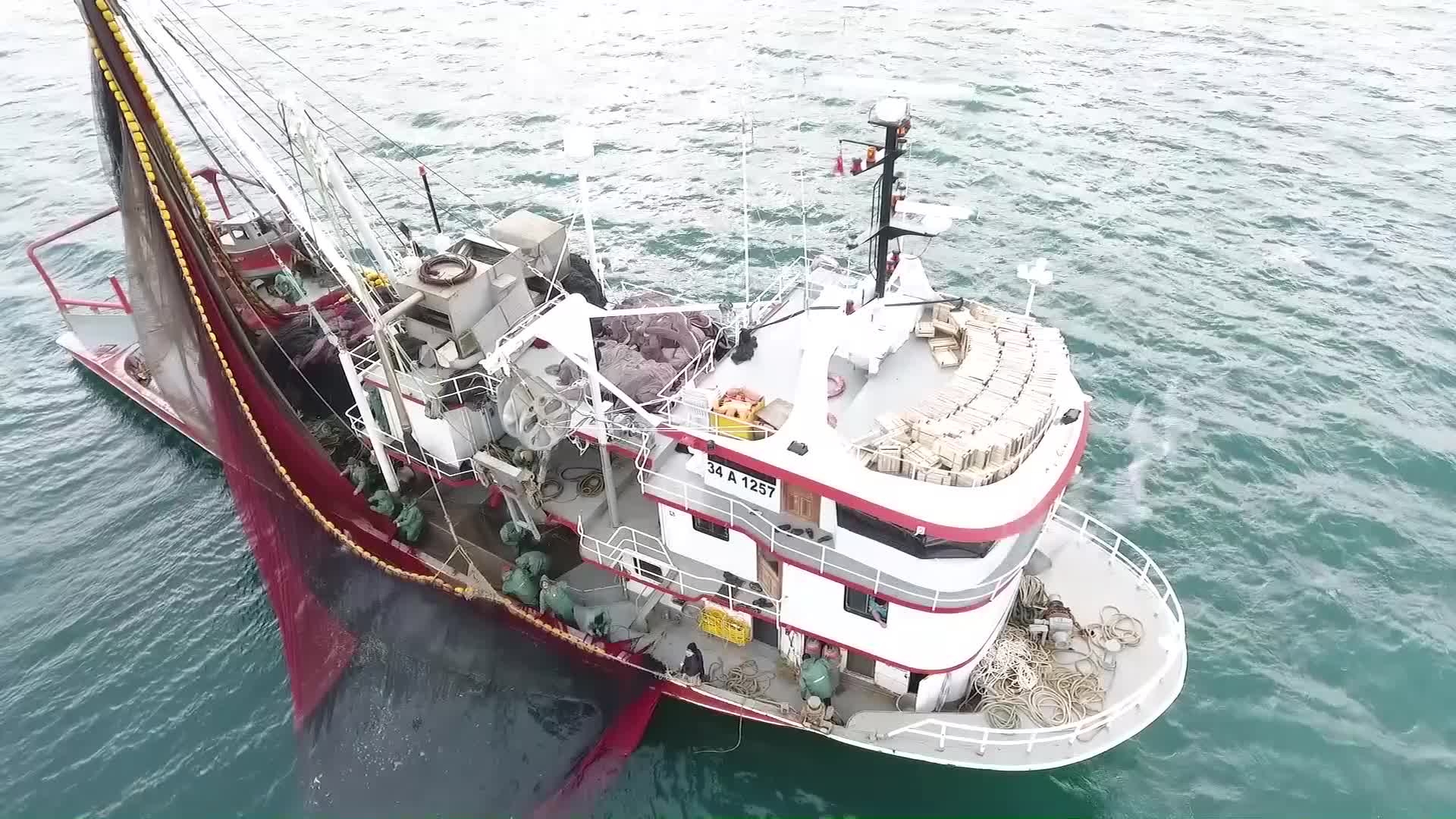 HAMSİ NESLİNİN SÜRDÜRÜLEBİLMESİ İÇİN ULUSLARARASI ÇAĞRI