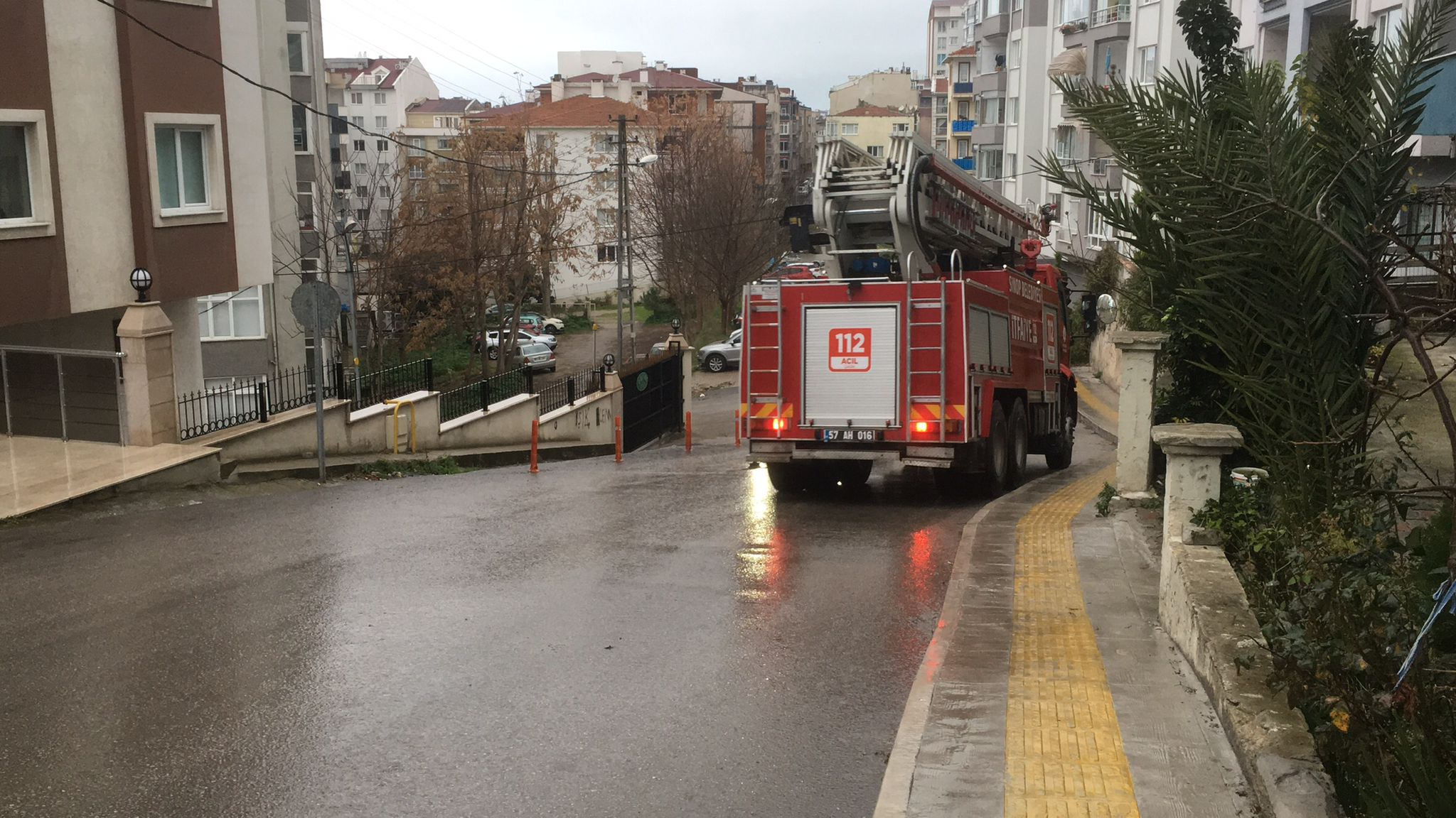 ELEKTRİK TELLERİNE TAKILAN MARTI KURTARILDI