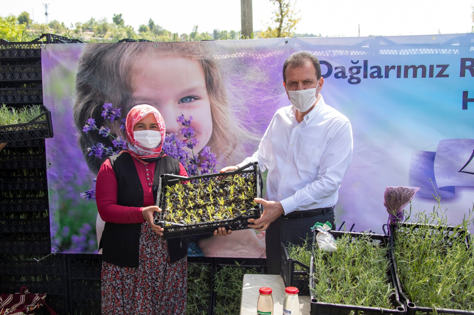 MERSİN’İN MOR TARLALARINDAN GÜNEY’E LAVANTA KOKUSU YAYILACAK