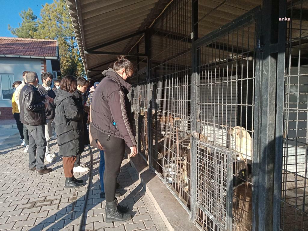 ERASMUS ÖĞRENCİLERİ ODUNPAZARI BELEDİYESİ’NİN GEÇİCİ HAYVAN BAKIMEVİ’Nİ GEZDİ
