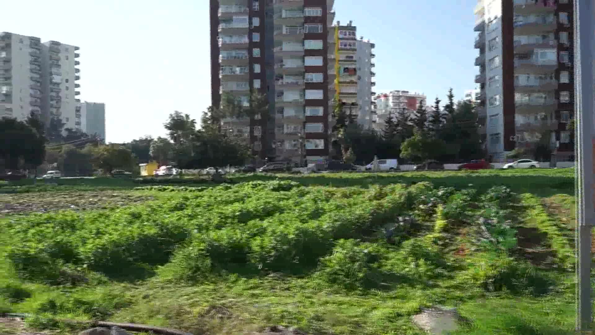 PROFESÖRDEN PAZARDA TAZE SEBZE SATIŞI